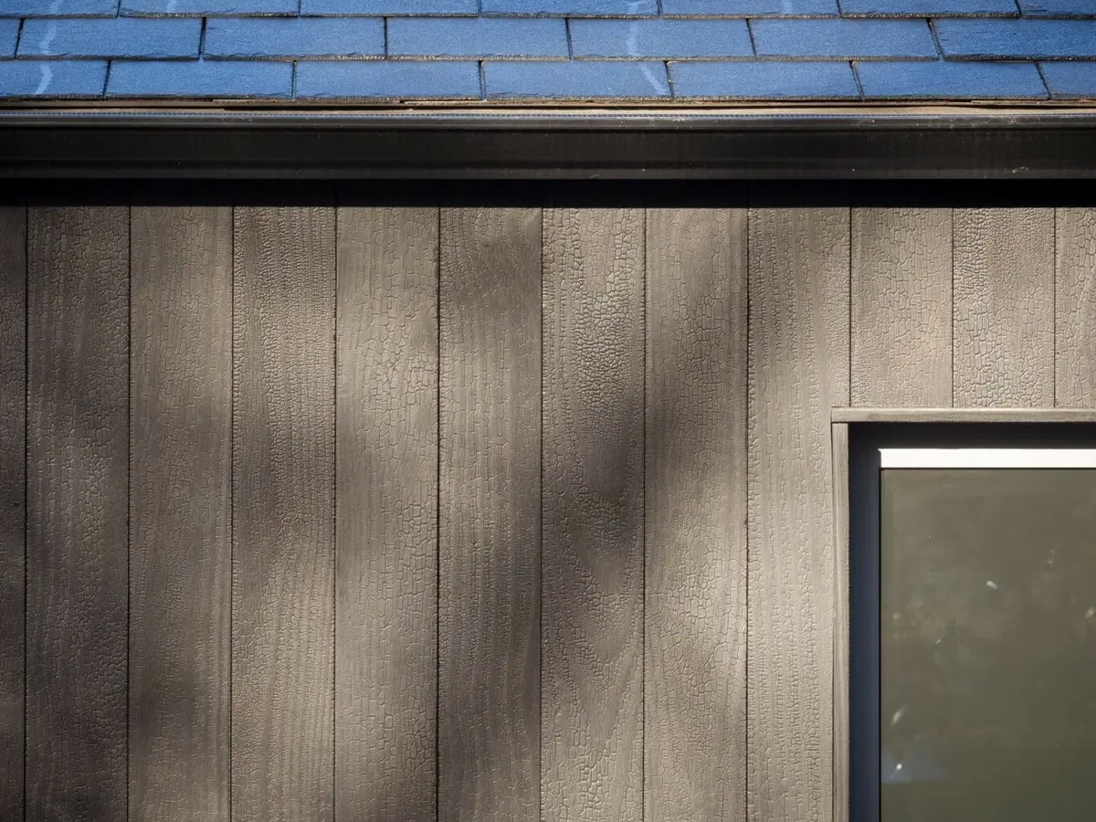 CHARRED ACCOYA SHOSAI